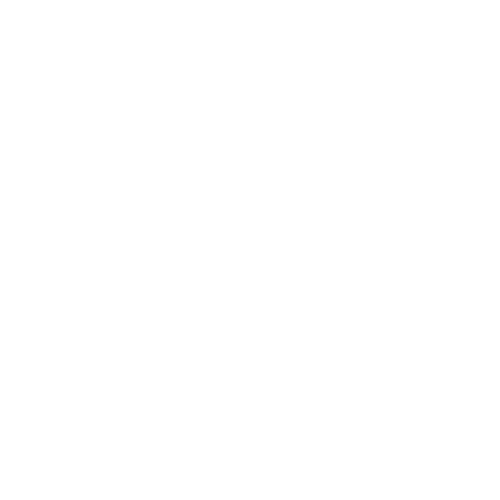 Branches : 